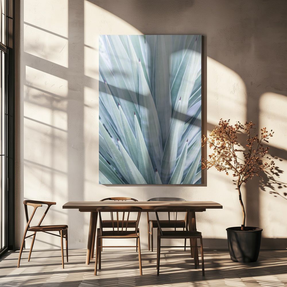 Azure Agave Dance | Canvas