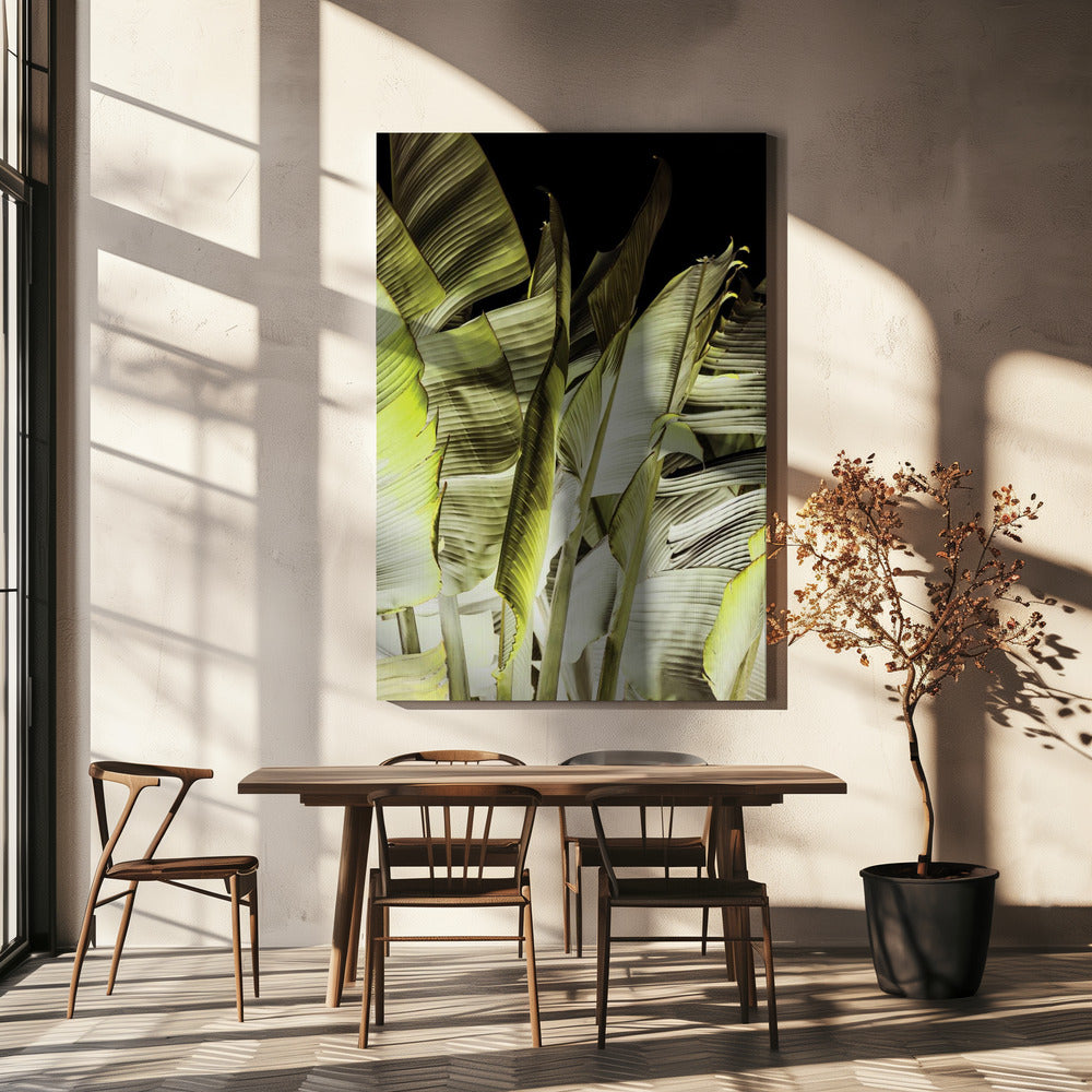 Banana Leaves In Soft Lighting | Canvas