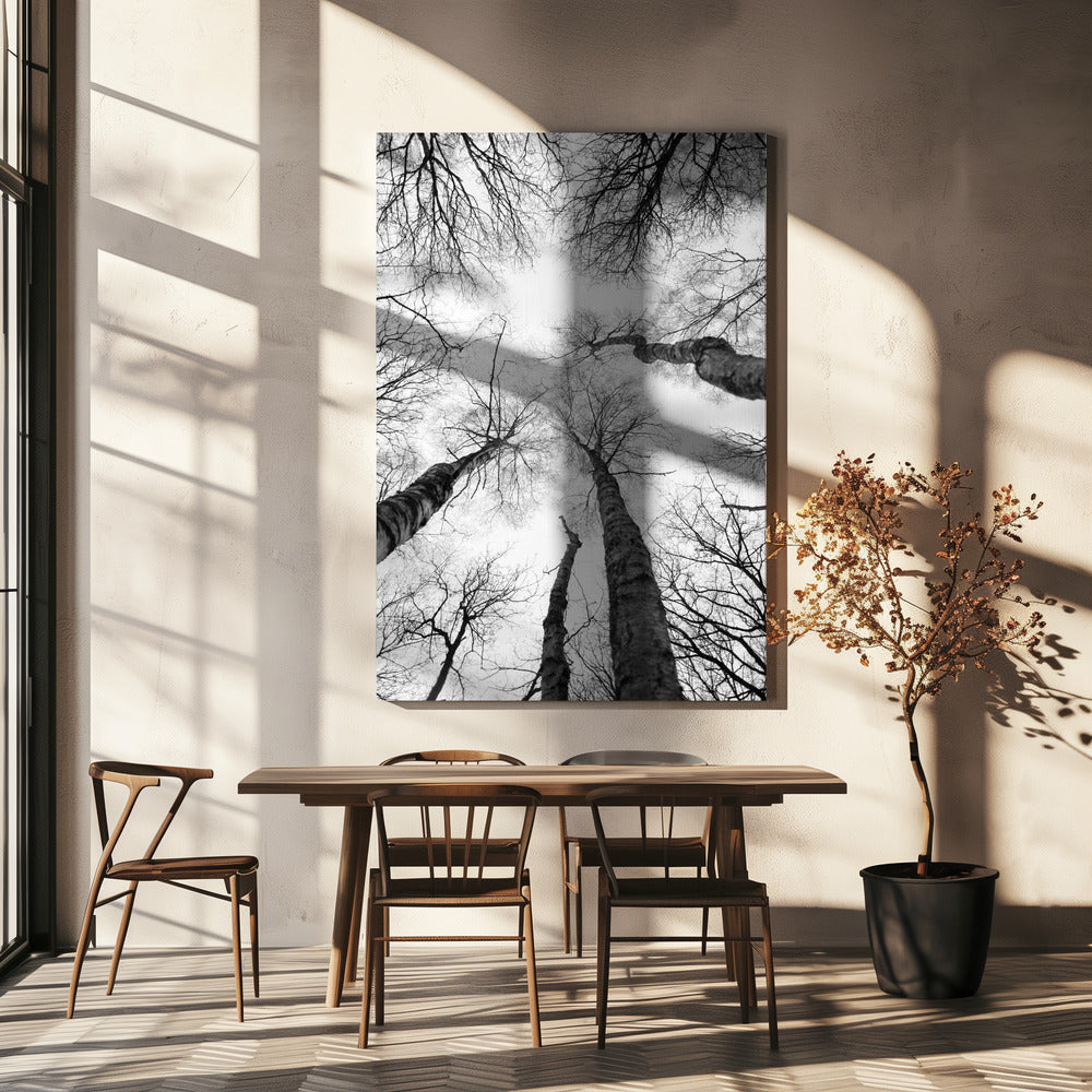 Reaching Branches | Canvas