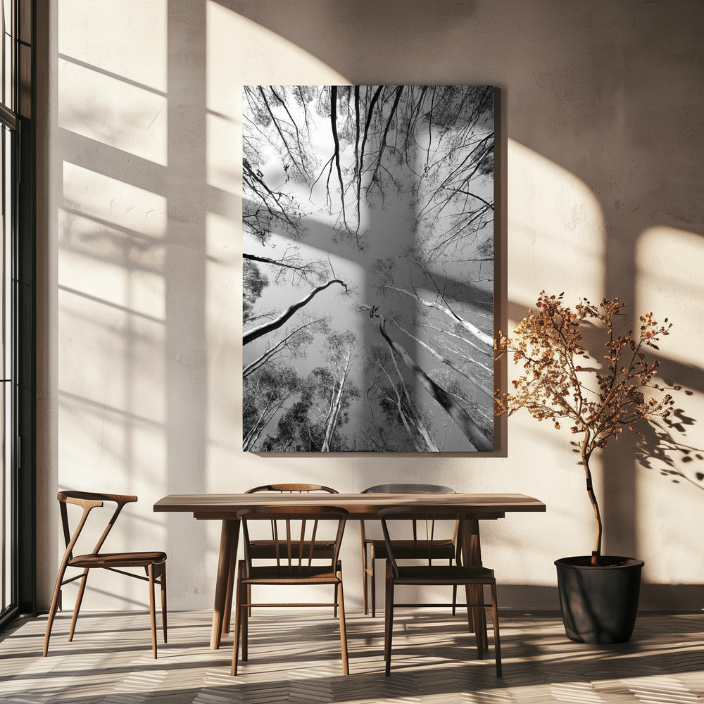 Skyward Symphony | Canvas