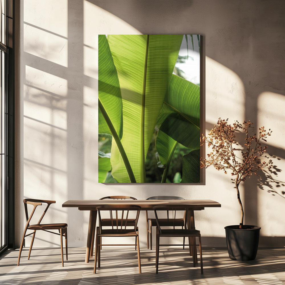 Tropical Banana Leaves | Canvas