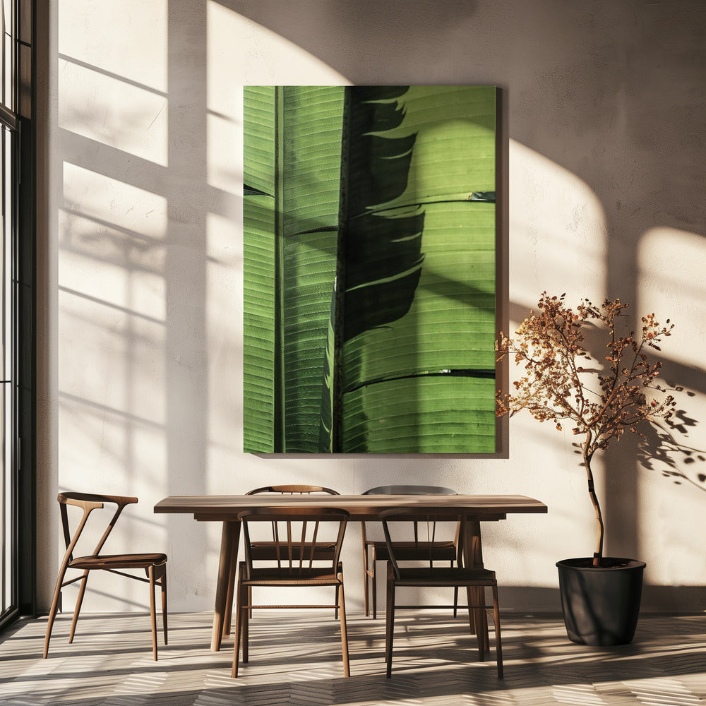Tropical Banana Leaves | Canvas