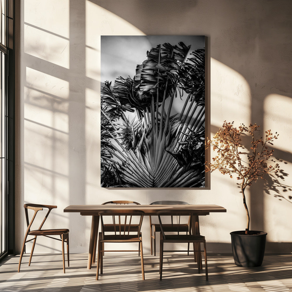 Tropical Dancer | Canvas