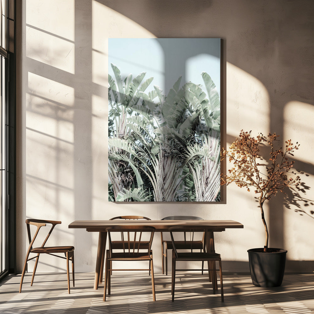 Tropical Whispers | Canvas