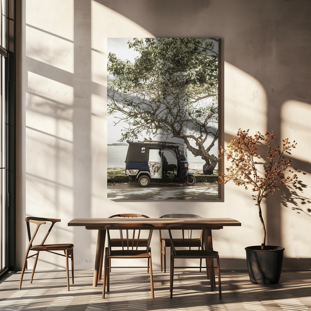 Tuk Tuk Tour | Canvas