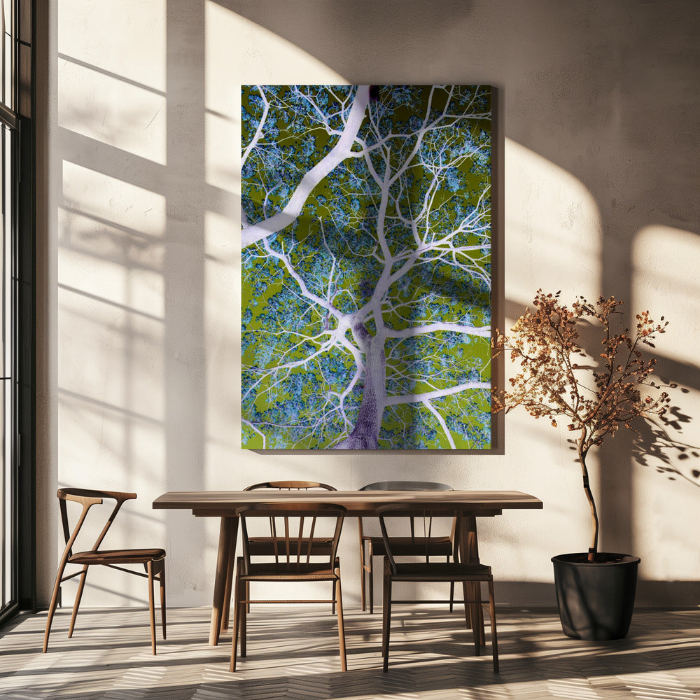 Surreal Branches | Canvas