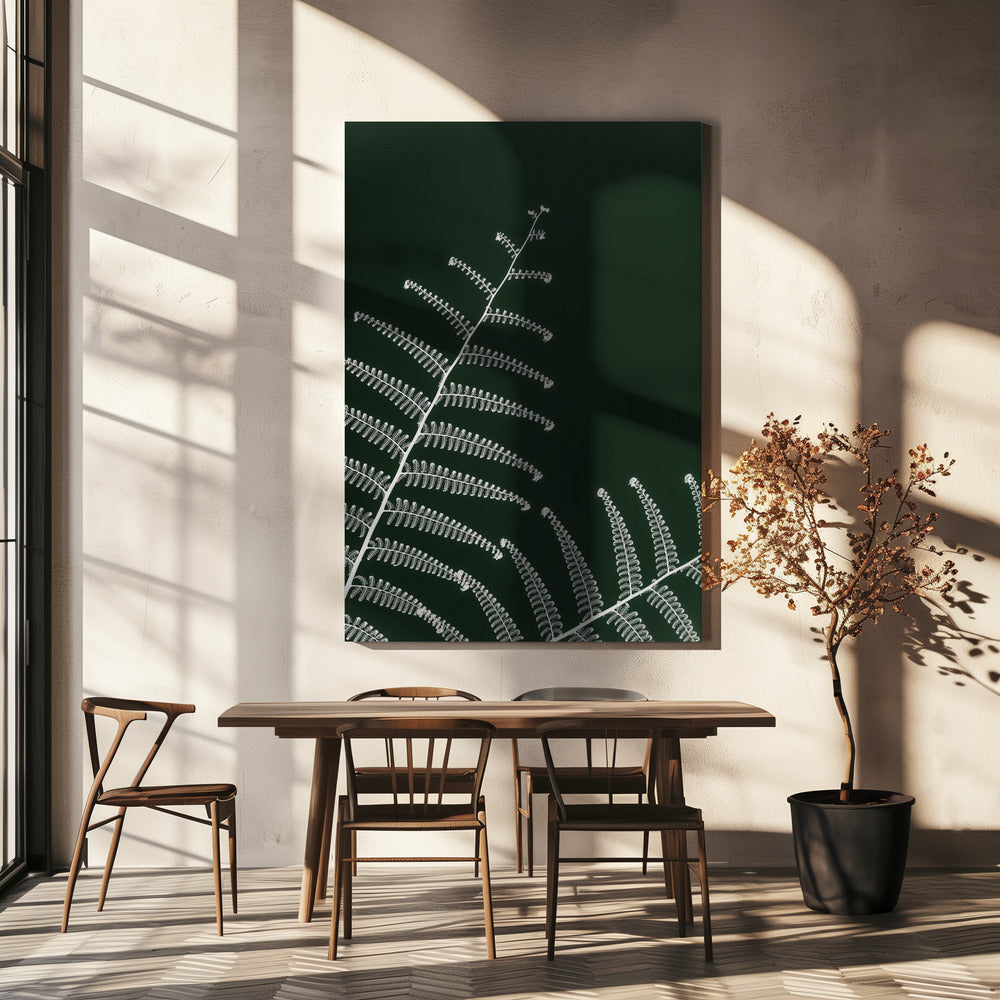 Fern&#039;s Gentle Curve | Canvas