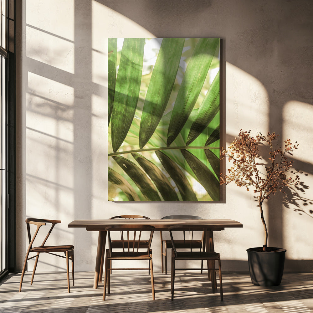 Beauty Of Palm Leaves | Canvas