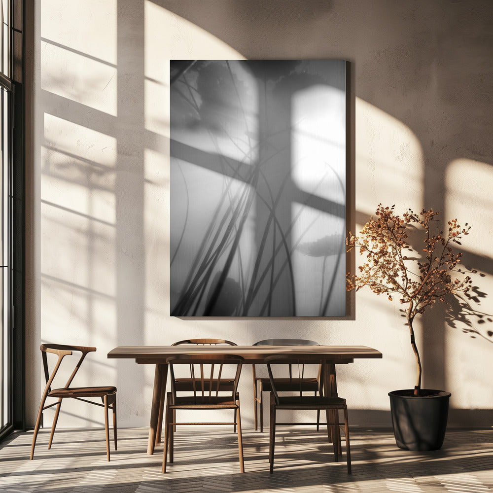 Water Lilly | Canvas