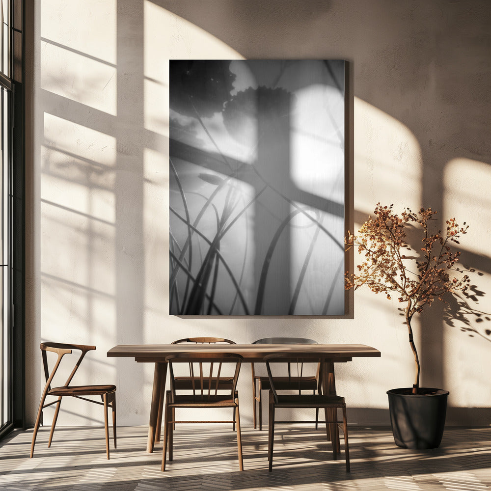 Water Lilly | Canvas