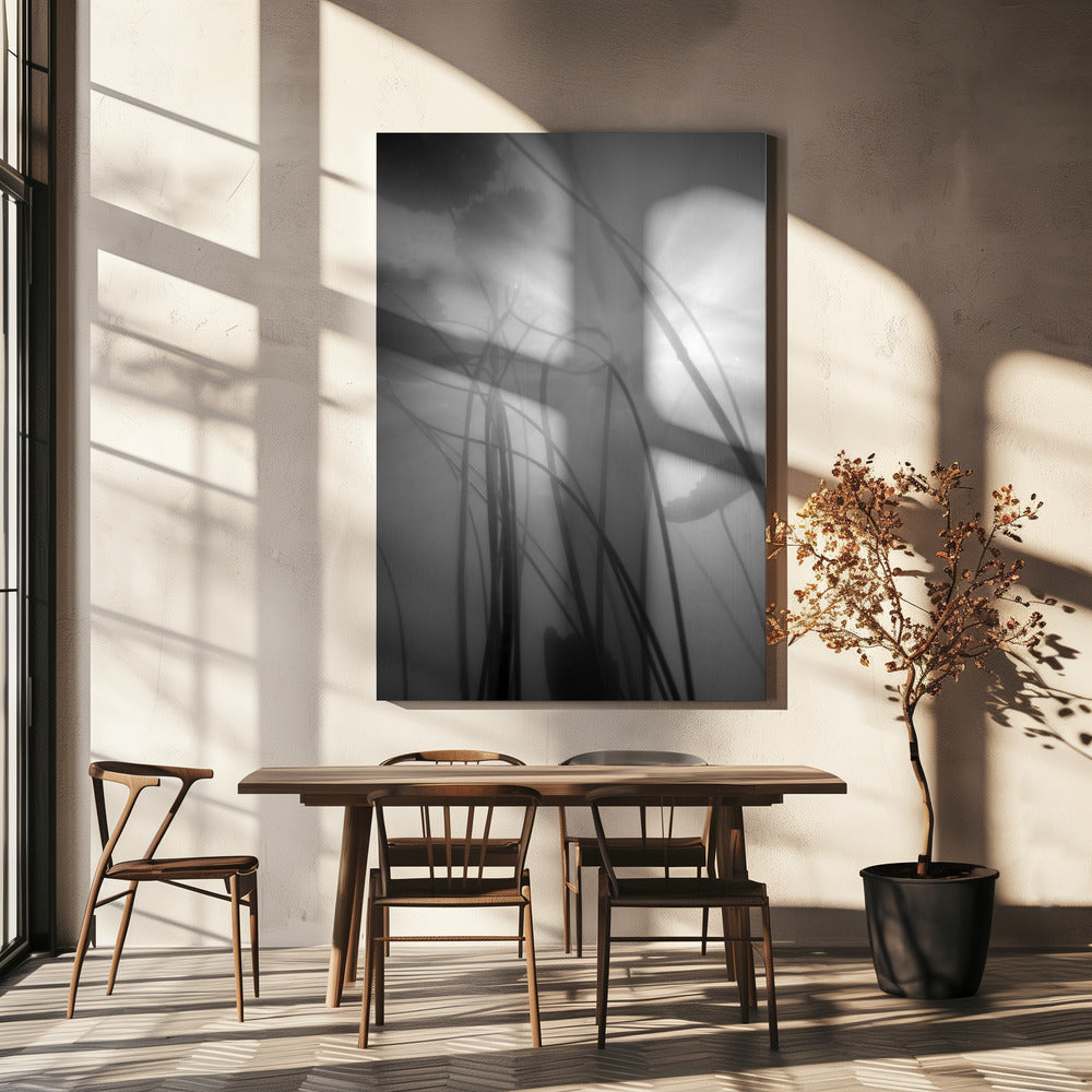 Water Lilly | Canvas