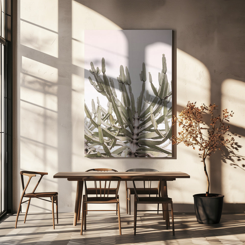 Serene Desert Growth | Canvas