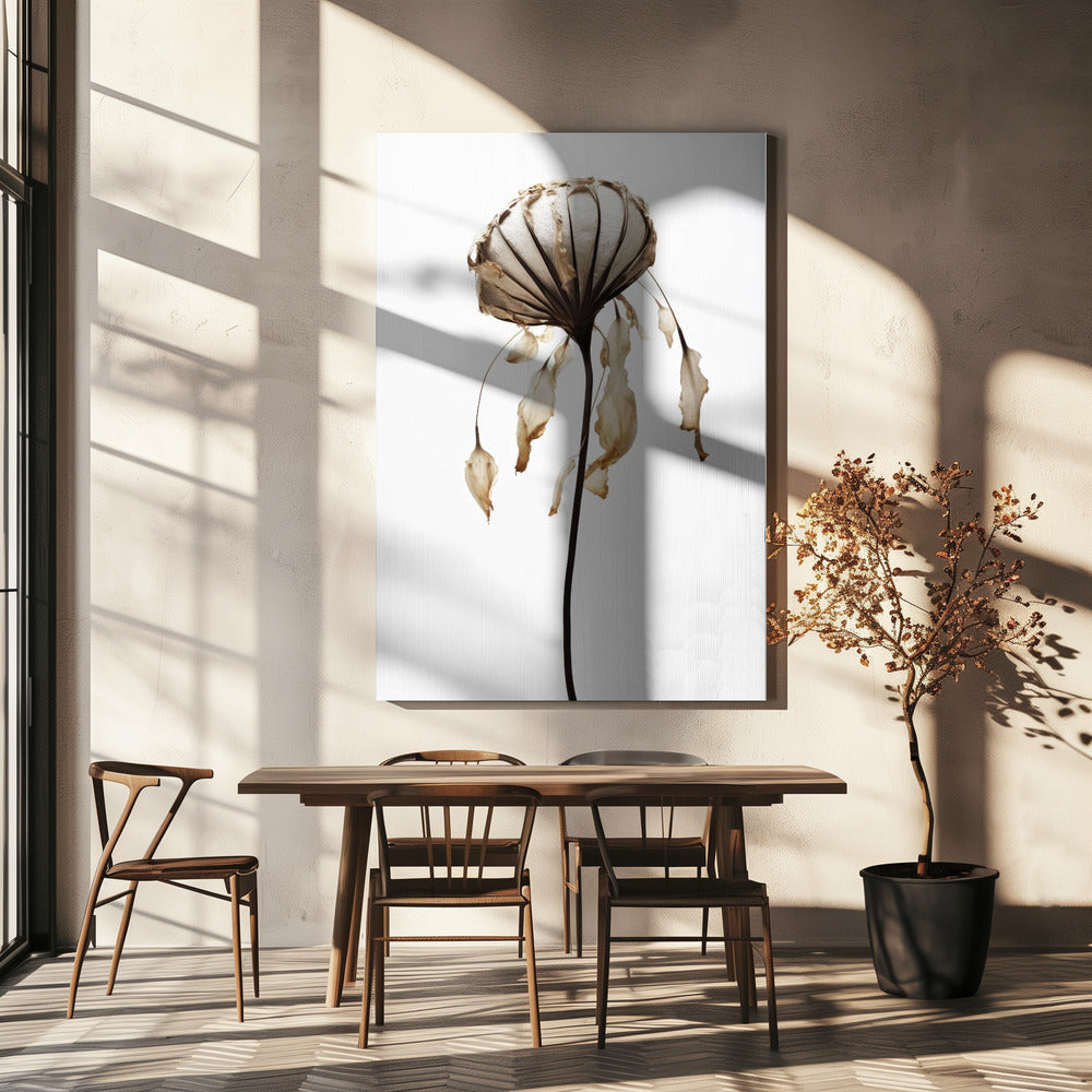 Withered Elegance | Canvas