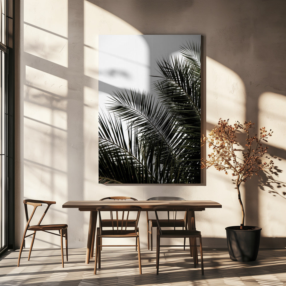 Palm Leaves 3 | Canvas