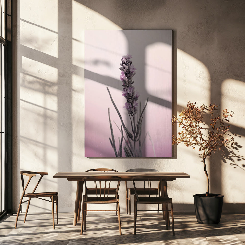 Lavender Dreams | Canvas