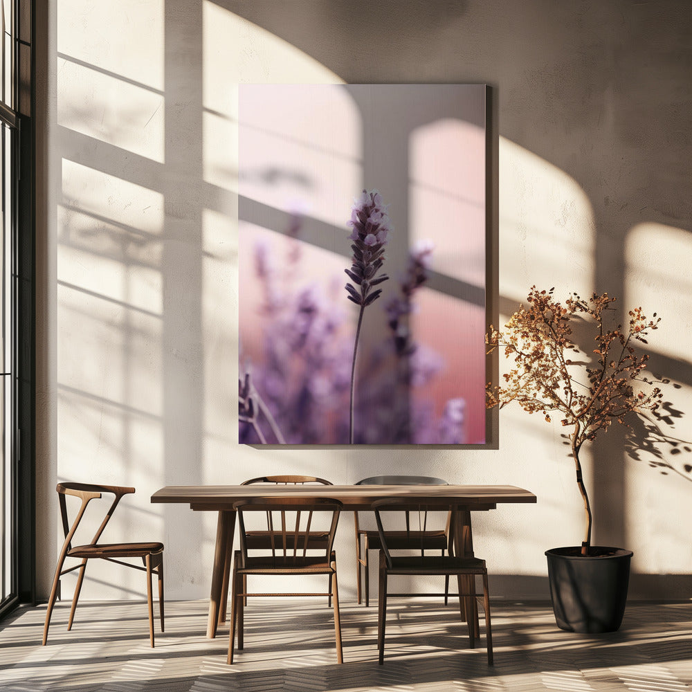 Lavender Serenity | Canvas