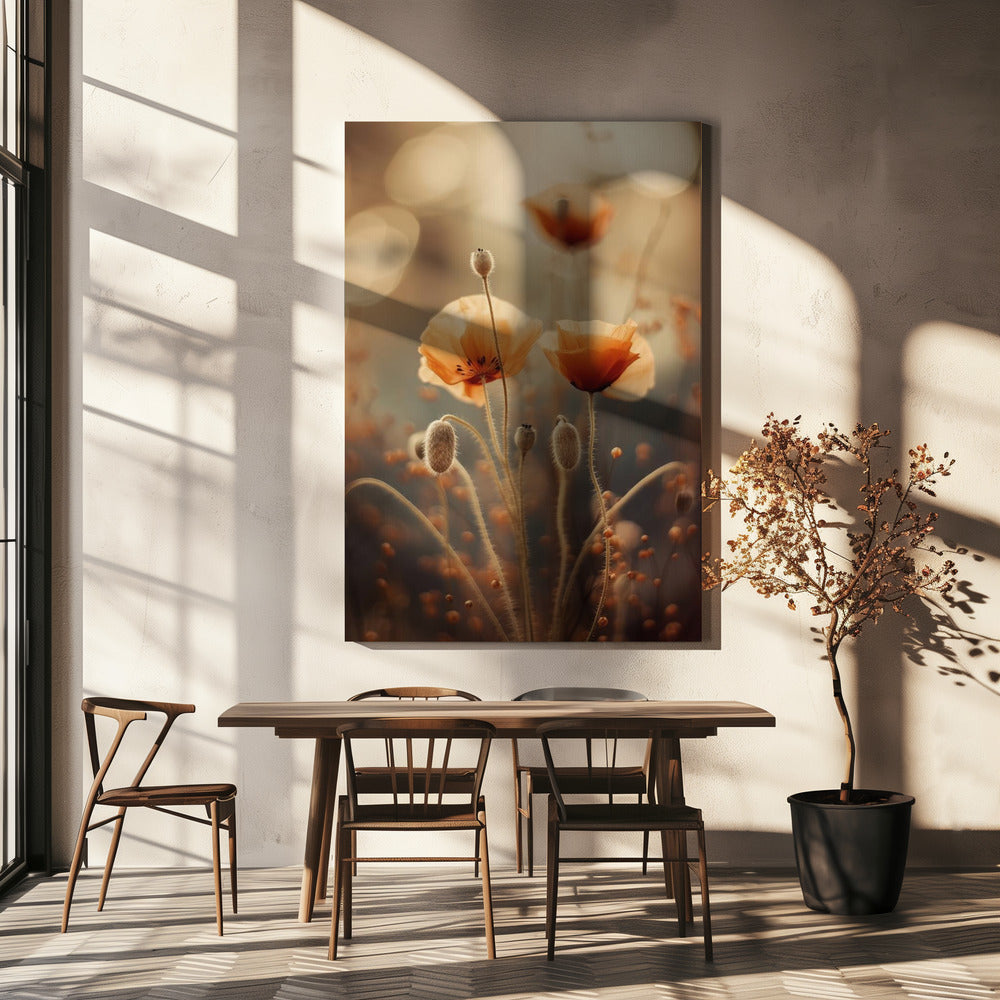 Whispers of Poppies | Canvas