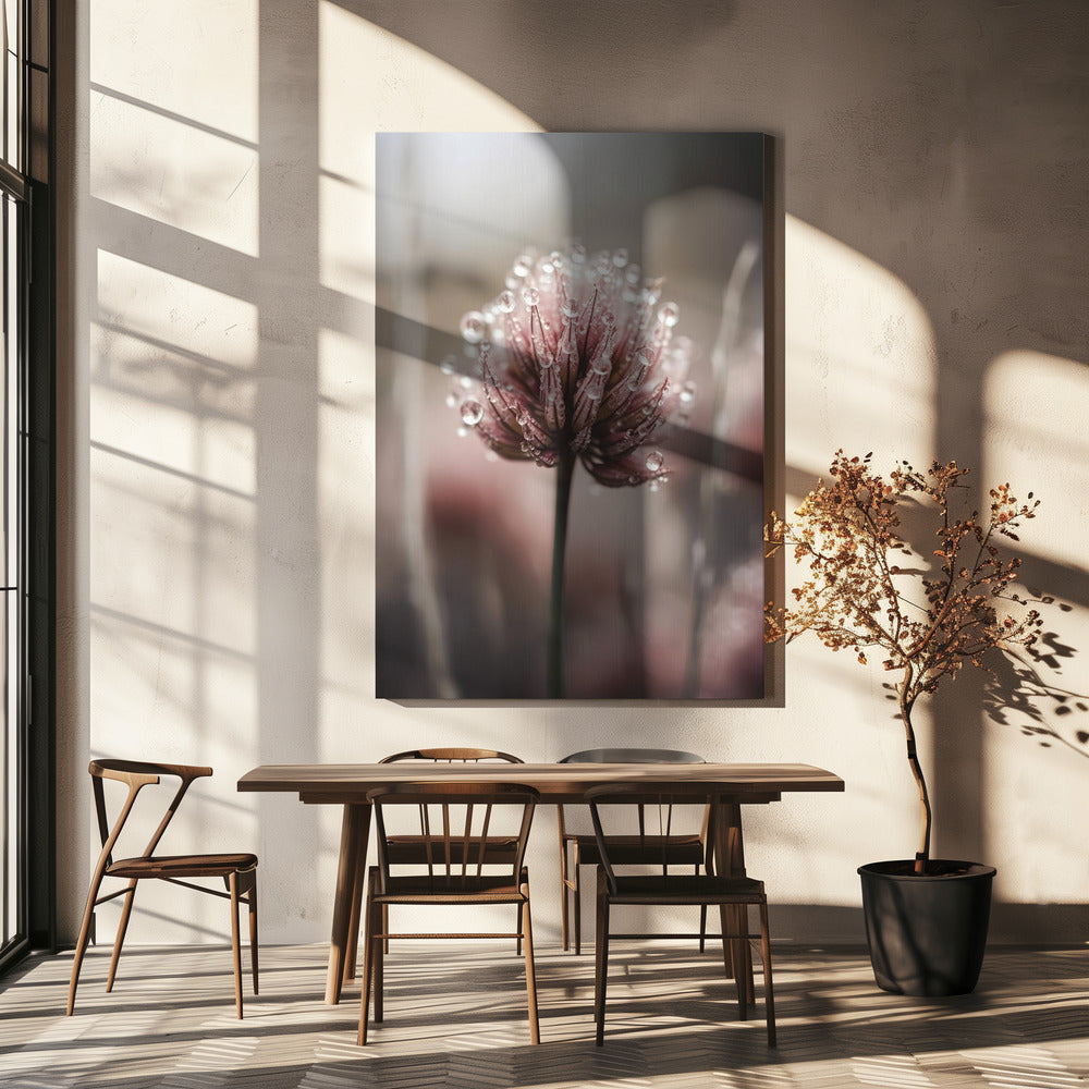 Dew-Kissed Blossom | Canvas