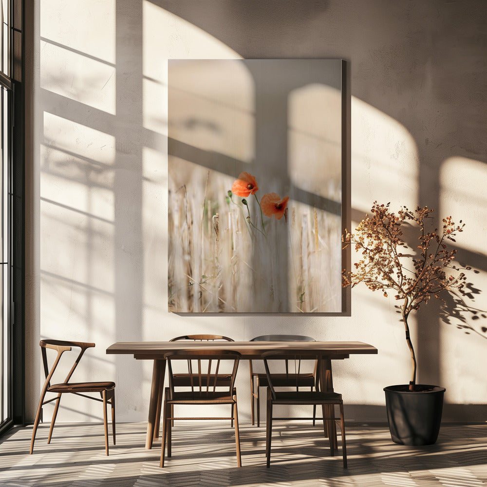 Summer Poppies | Canvas