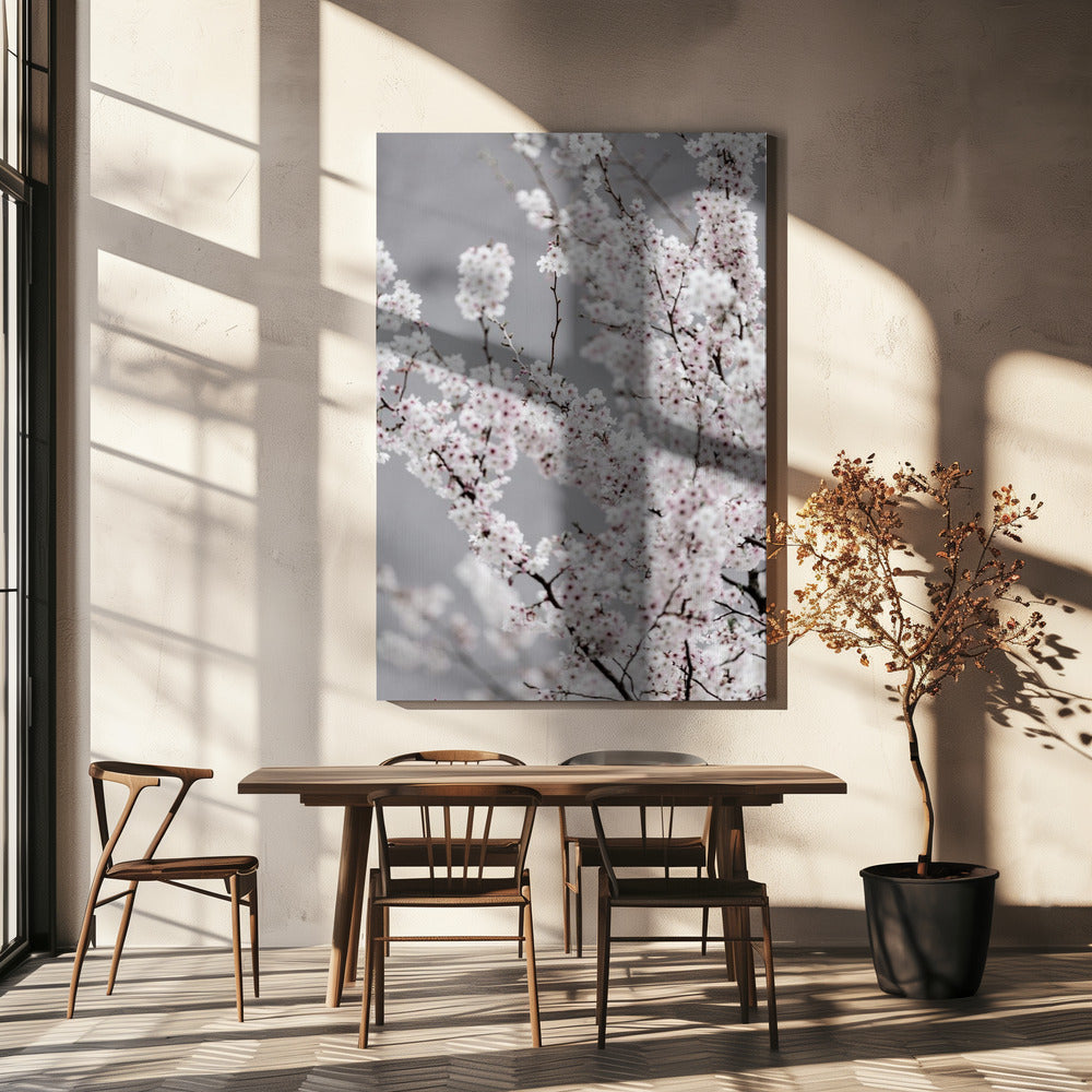 Colorful Spring 6 | Canvas