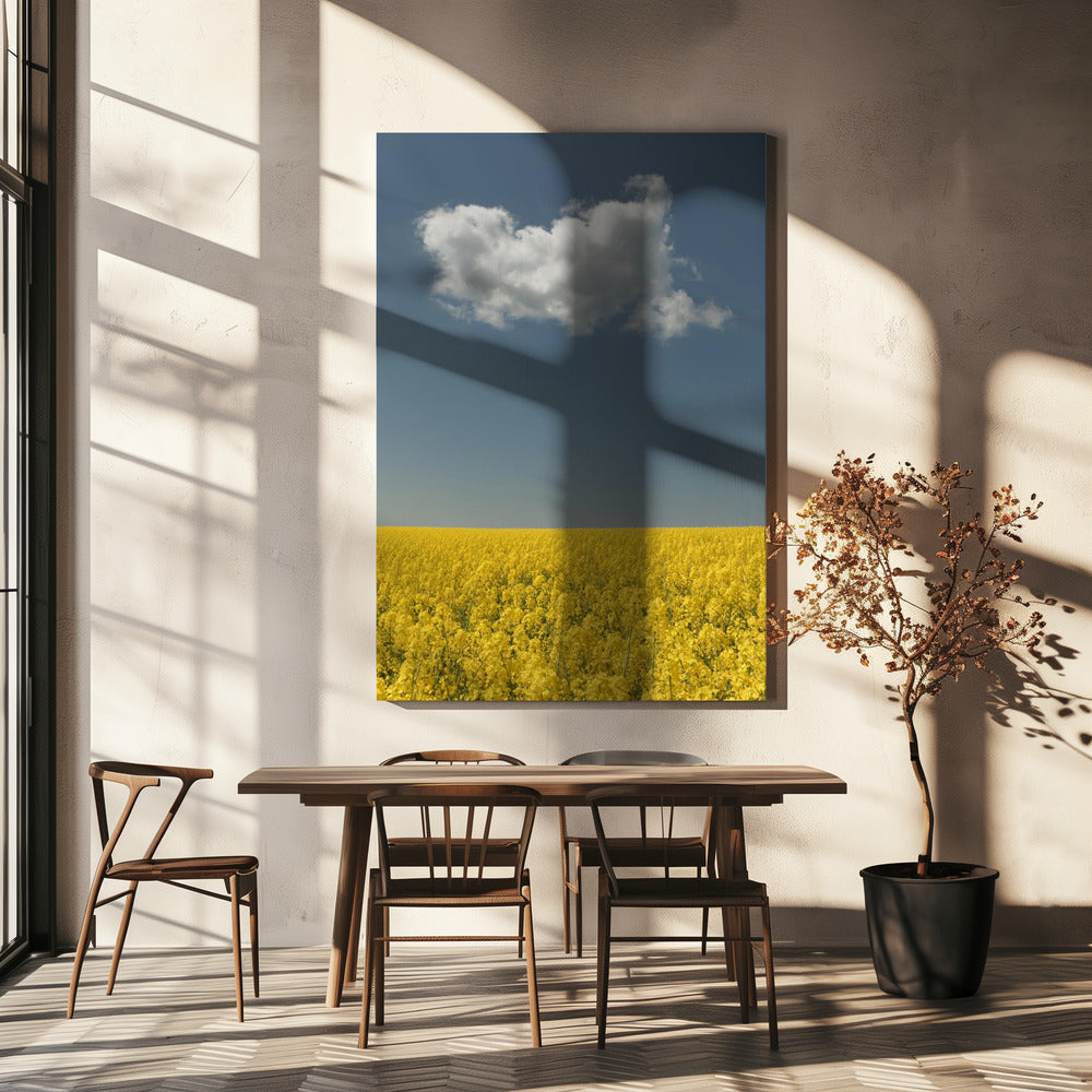Vision | Canvas
