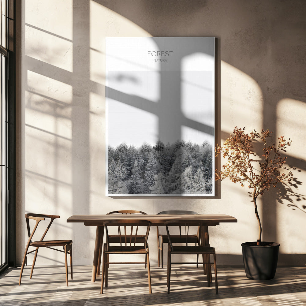 Frosted Tranquility | Canvas