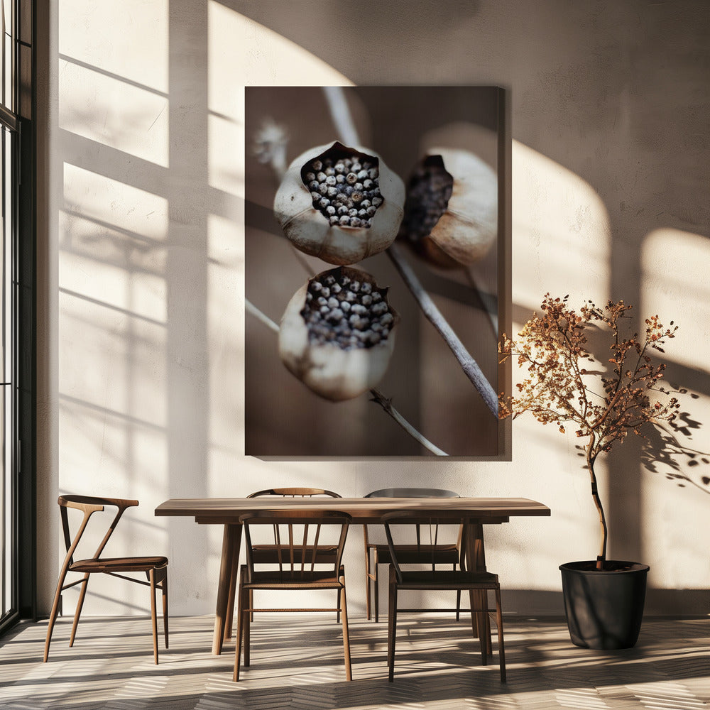 Nature&#039;s Capsules | Canvas