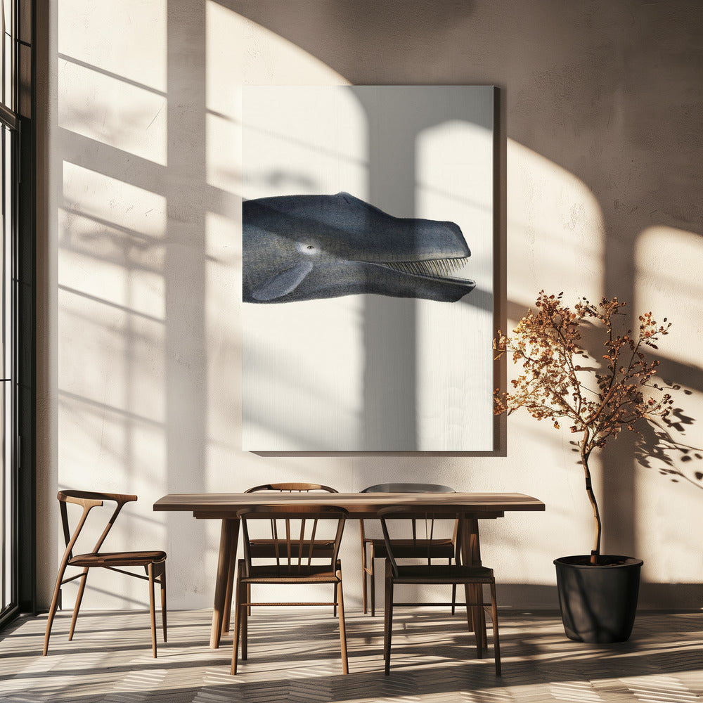 Whale I Tight Crop   Handcolored Sealife Lithograph 1824 | Canvas