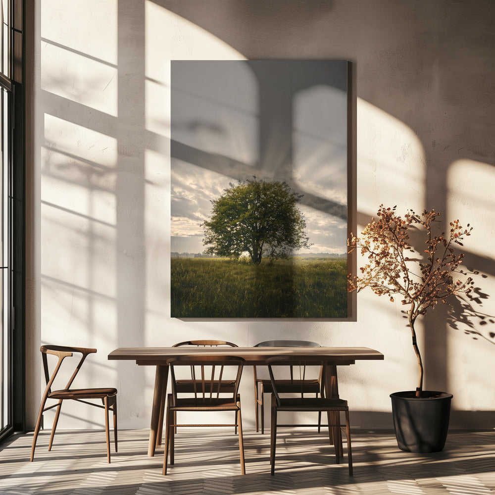 20220616  Dsf4394 | Canvas