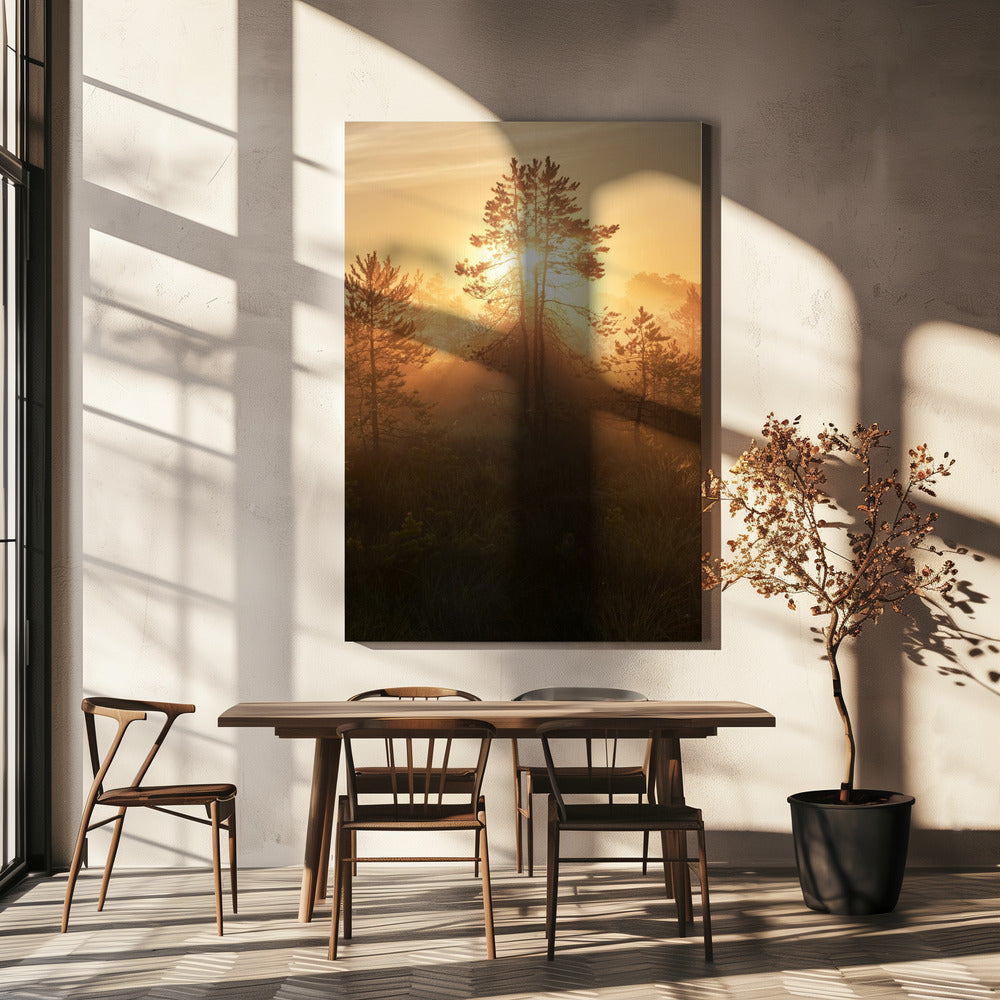 20220809  Dsf8009 Hdr 1 | Canvas