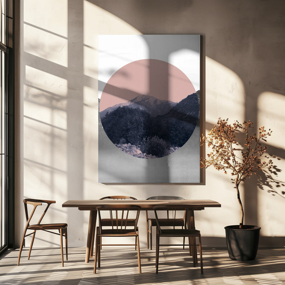 Shapes In Nature II | Canvas