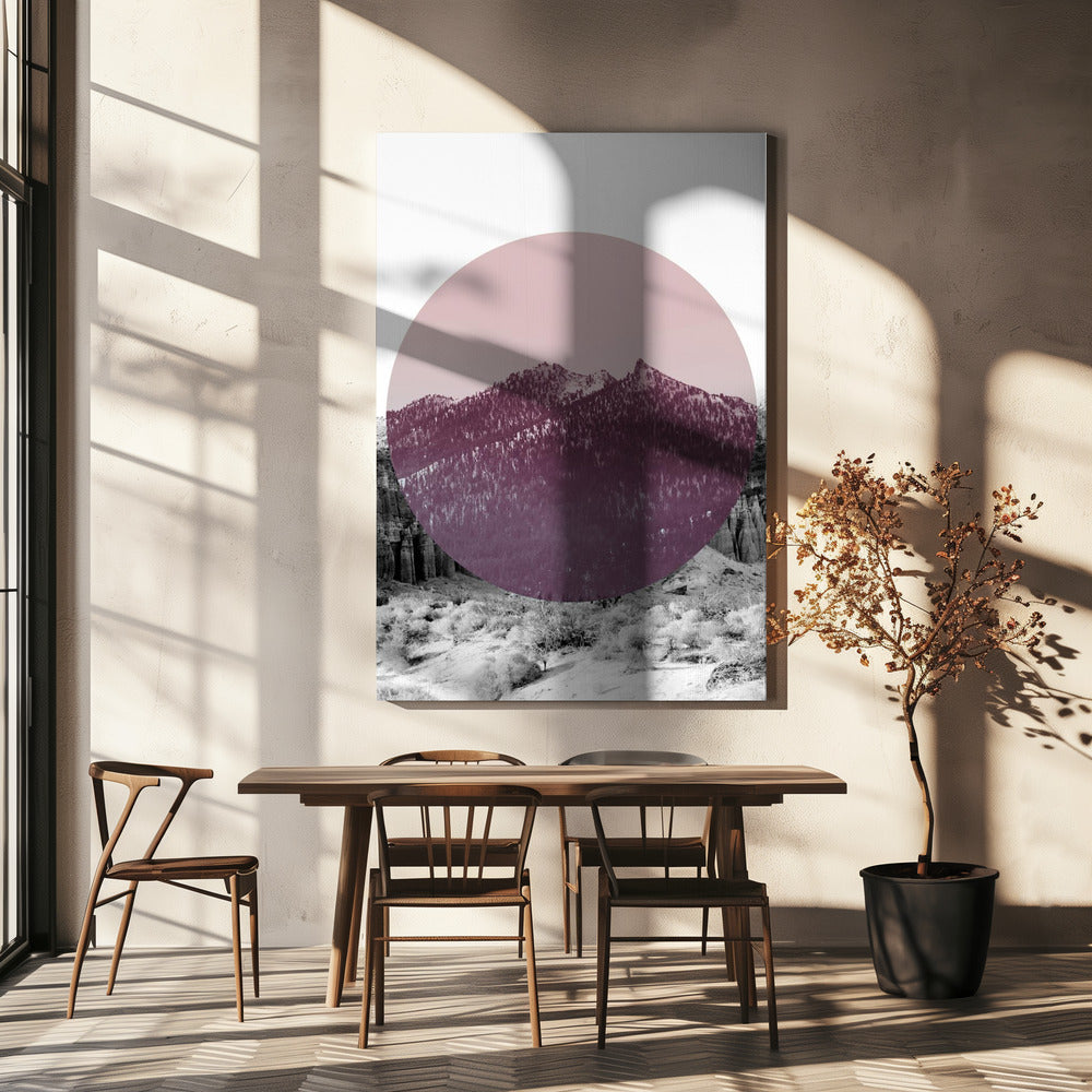 Shapes In Nature I | Canvas