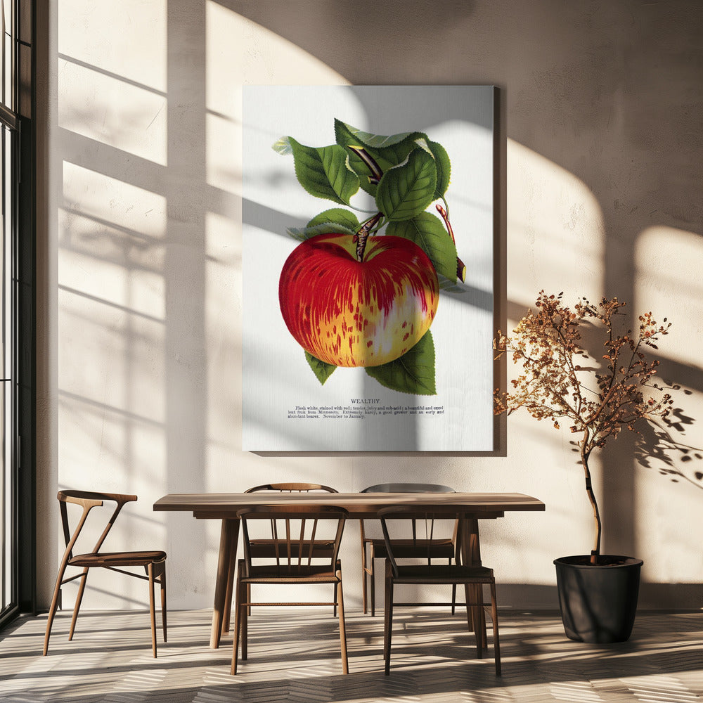 Wealthy Apple Lithograph | Canvas