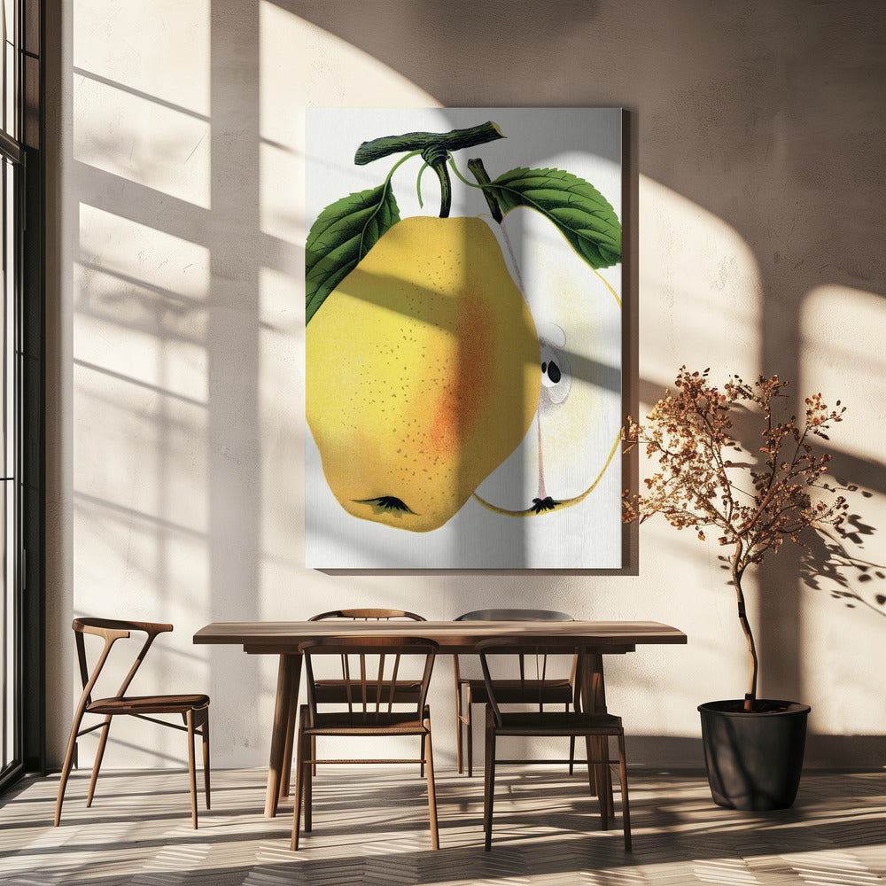 Kiefer's Hybrid Pear Lithograph | Canvas