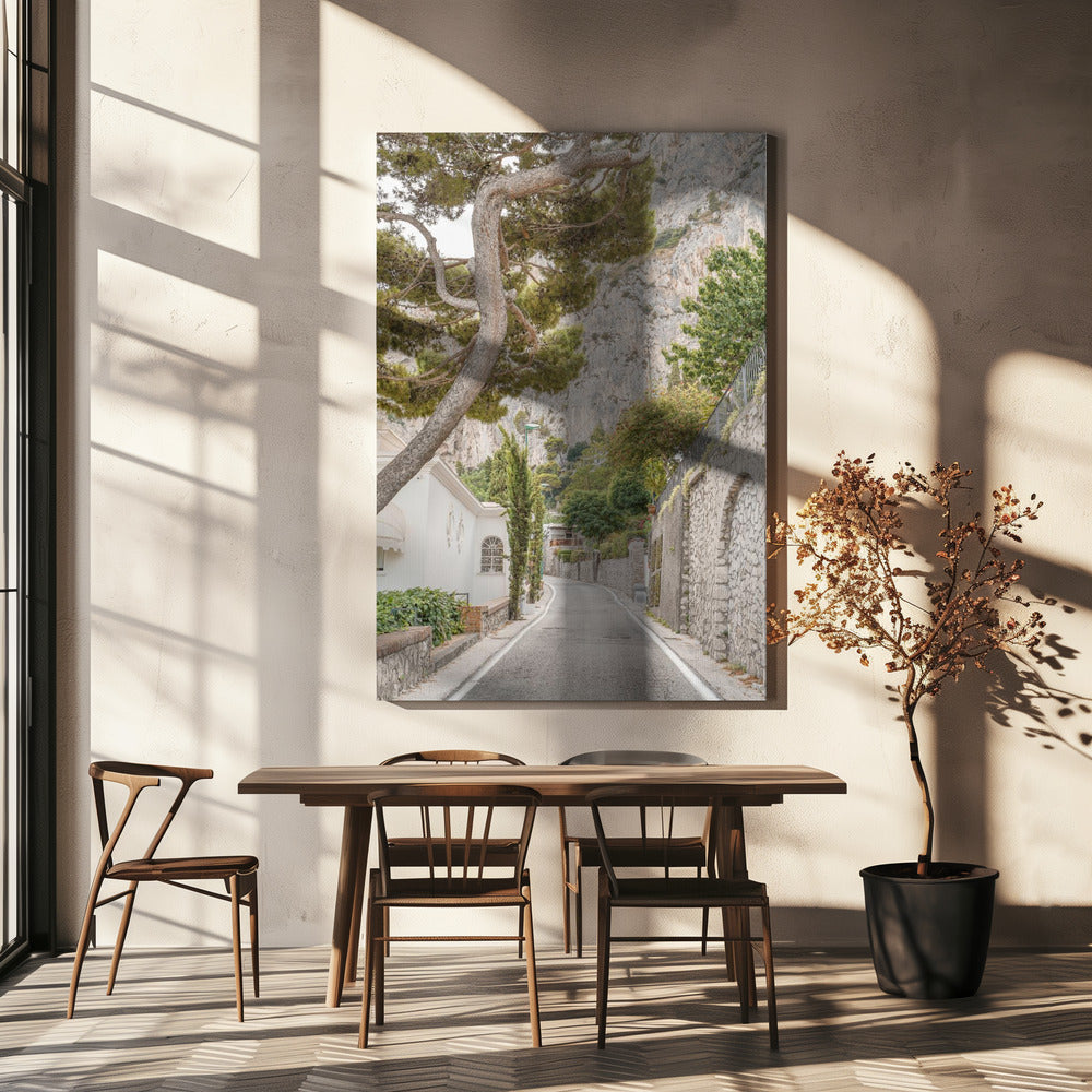 Streets of Capri | Canvas