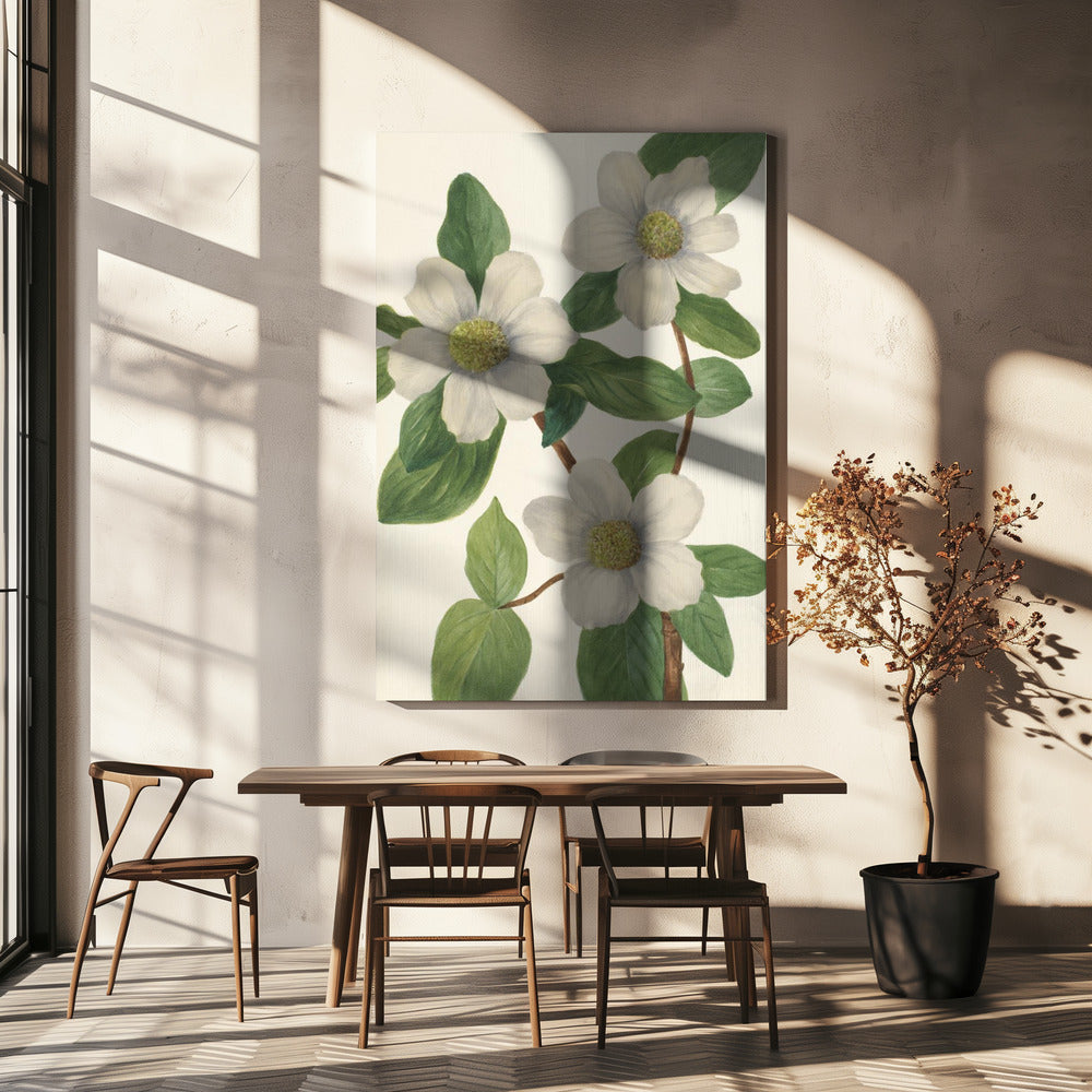 Pacific Dogwood | Canvas