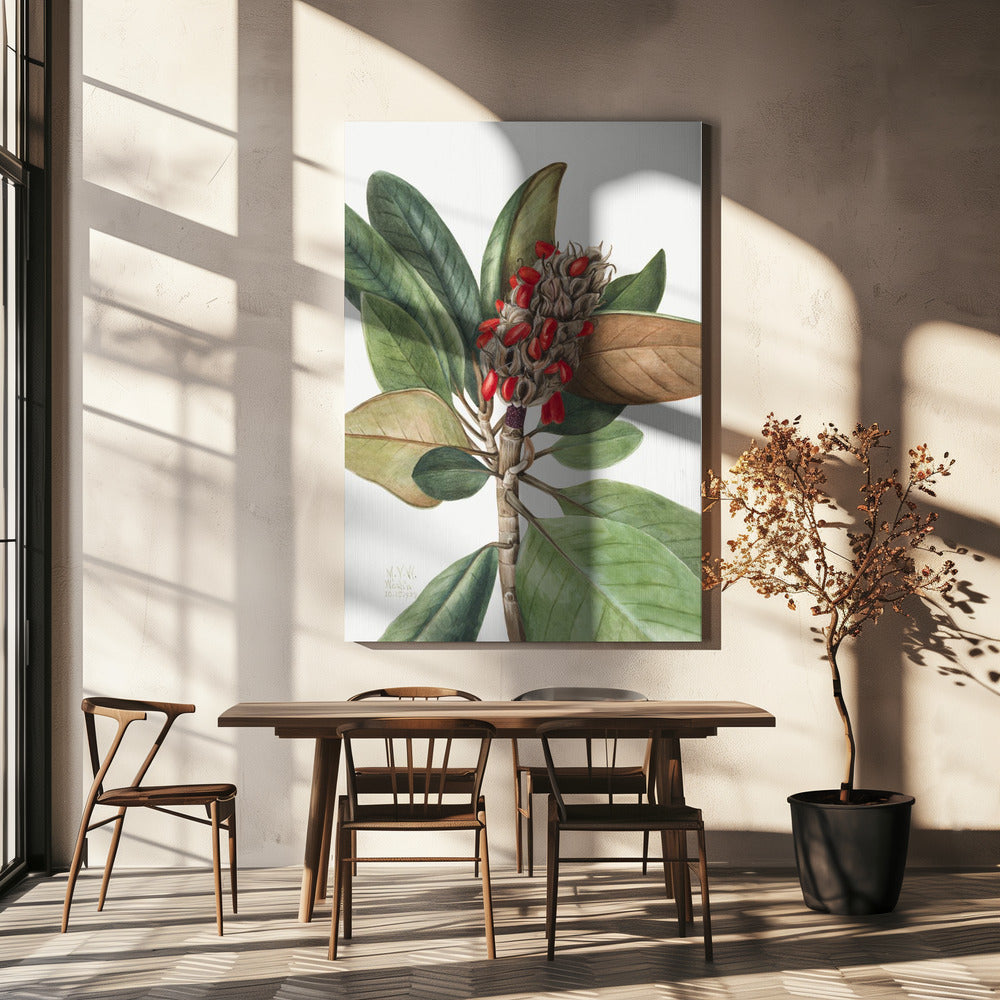 Southern Magnolia (1923) | Canvas