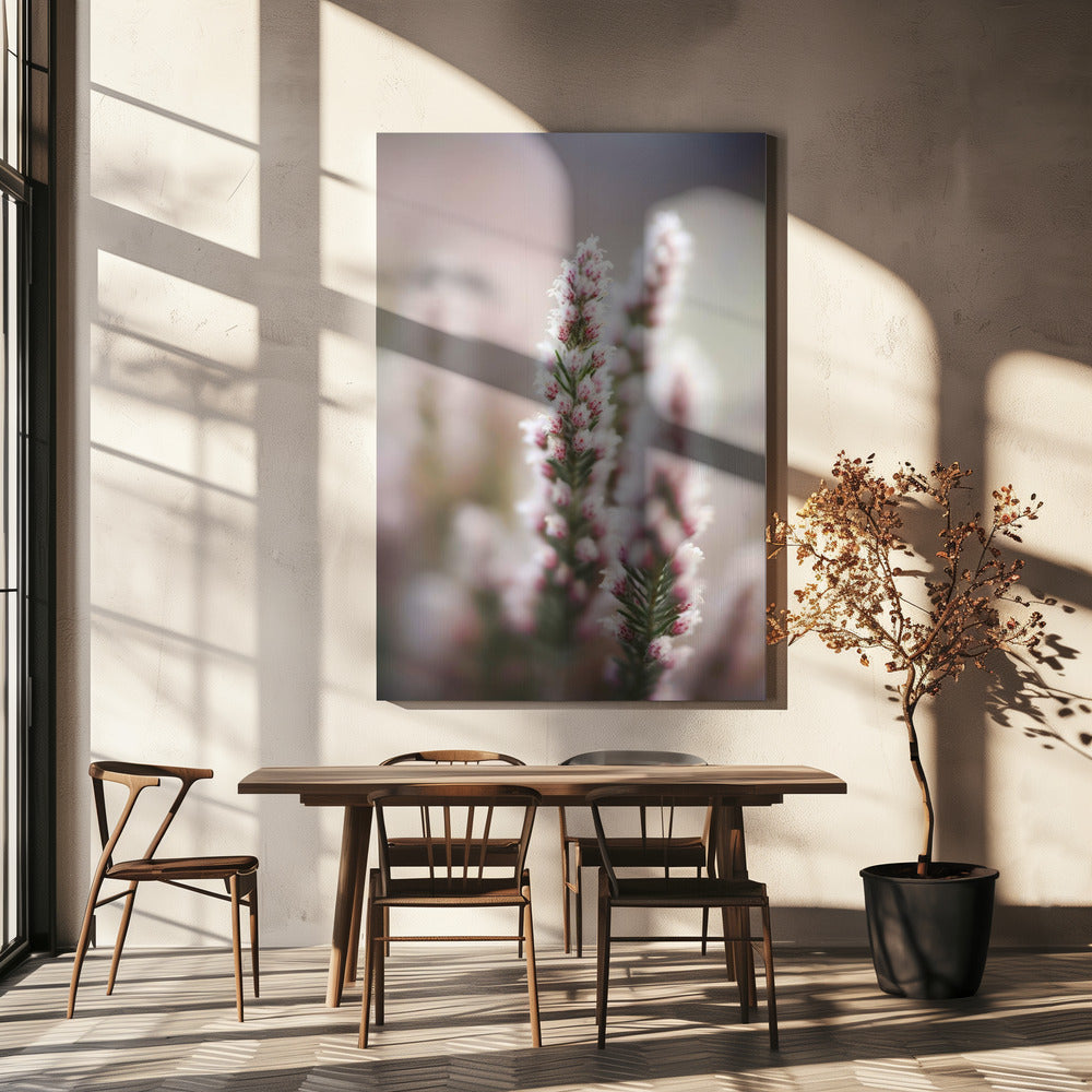 Whispers of Heather | Canvas