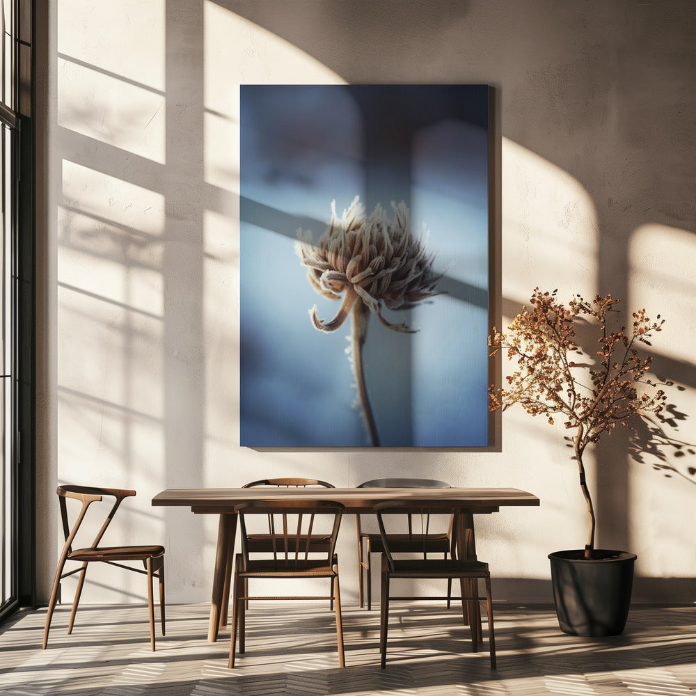 Frosted Blossom | Canvas