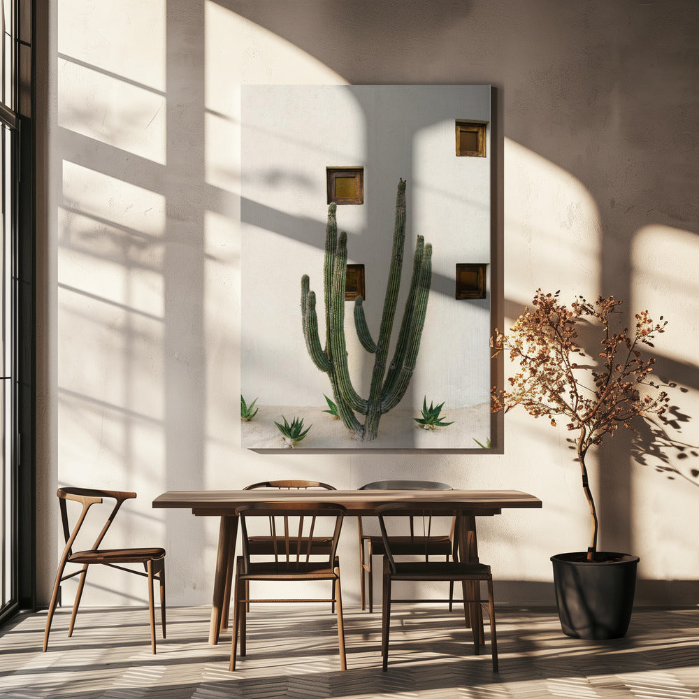 Cabo Cactus IX | Canvas