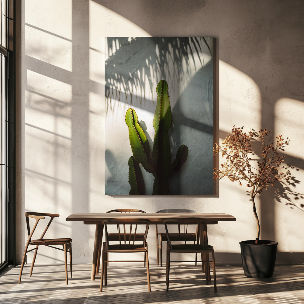 Socal Shadows | Canvas