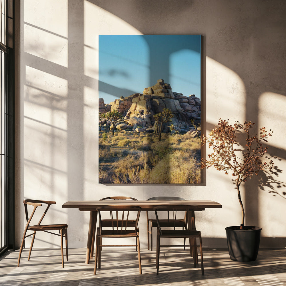 Joshua Tree Sunset | Canvas