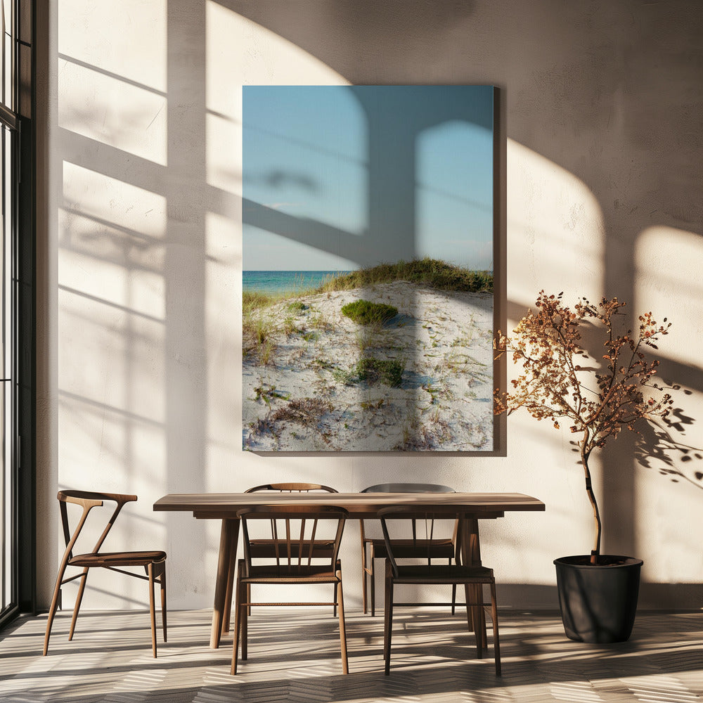30a Dunes II | Canvas