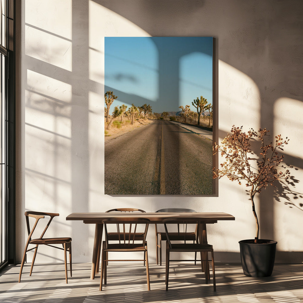 Joshua Tree Road II | Canvas