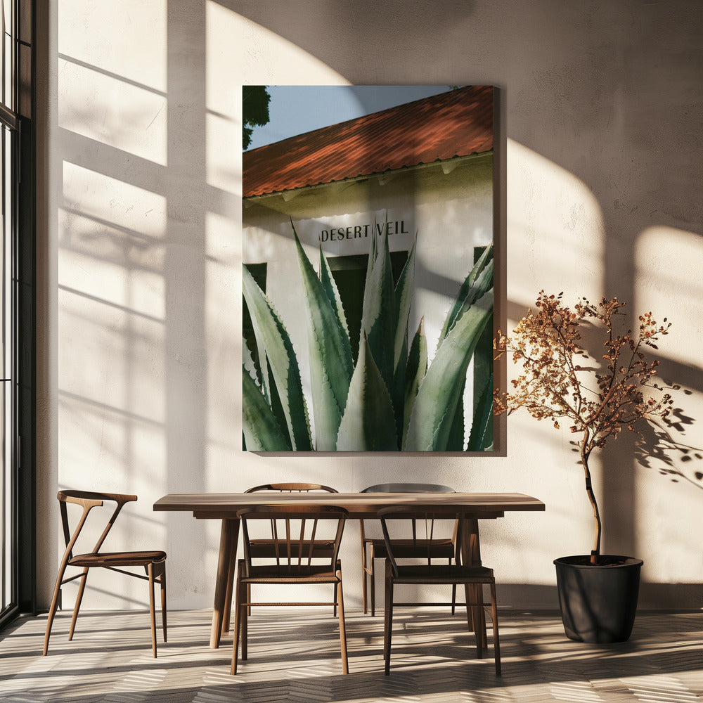 Desert Veil | Canvas