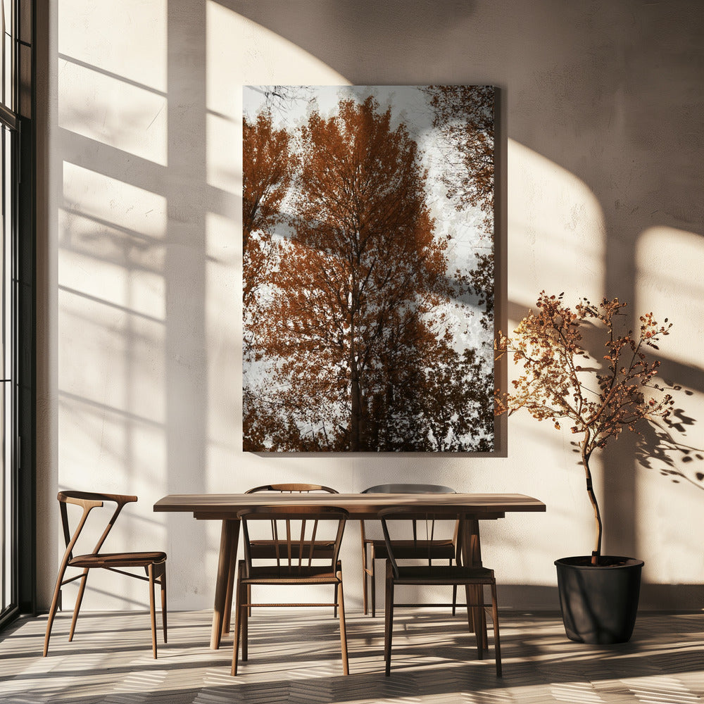 Aspen | Canvas