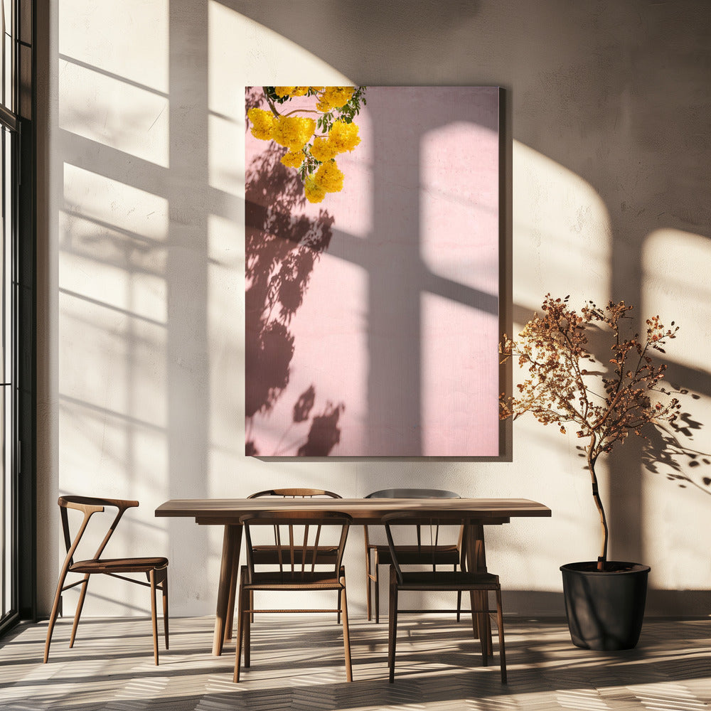 Yellow and Pink | Oaxaca Mexico | Canvas