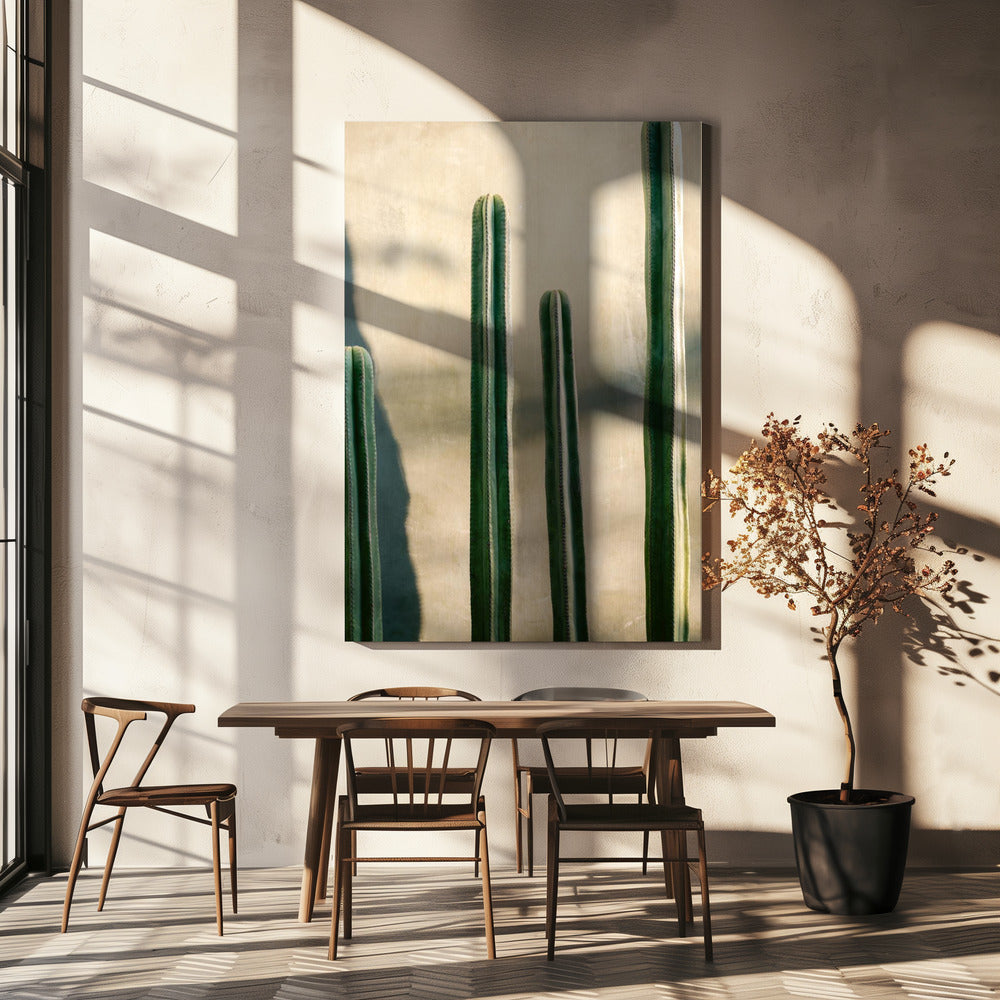 Oaxaca Shades of Green | Mexico travel photography | Canvas