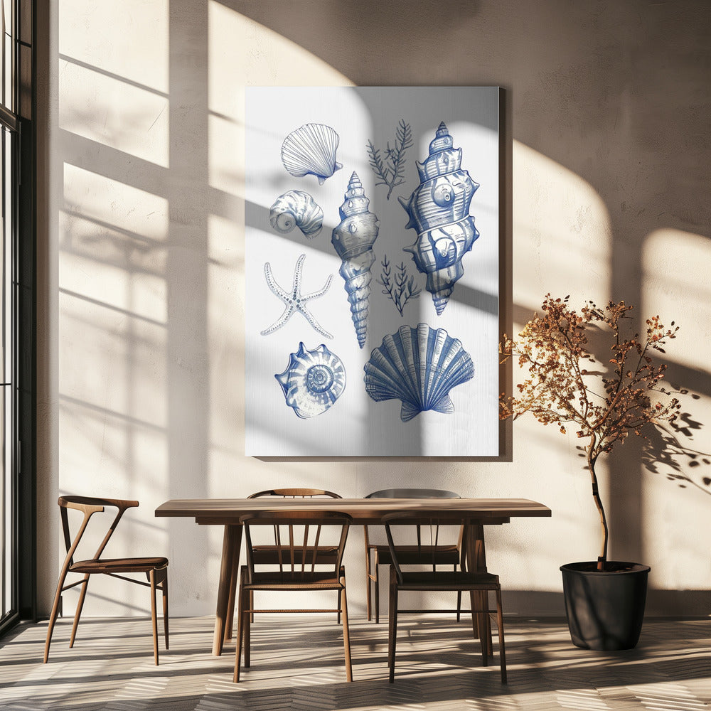 Shell Collage | Canvas