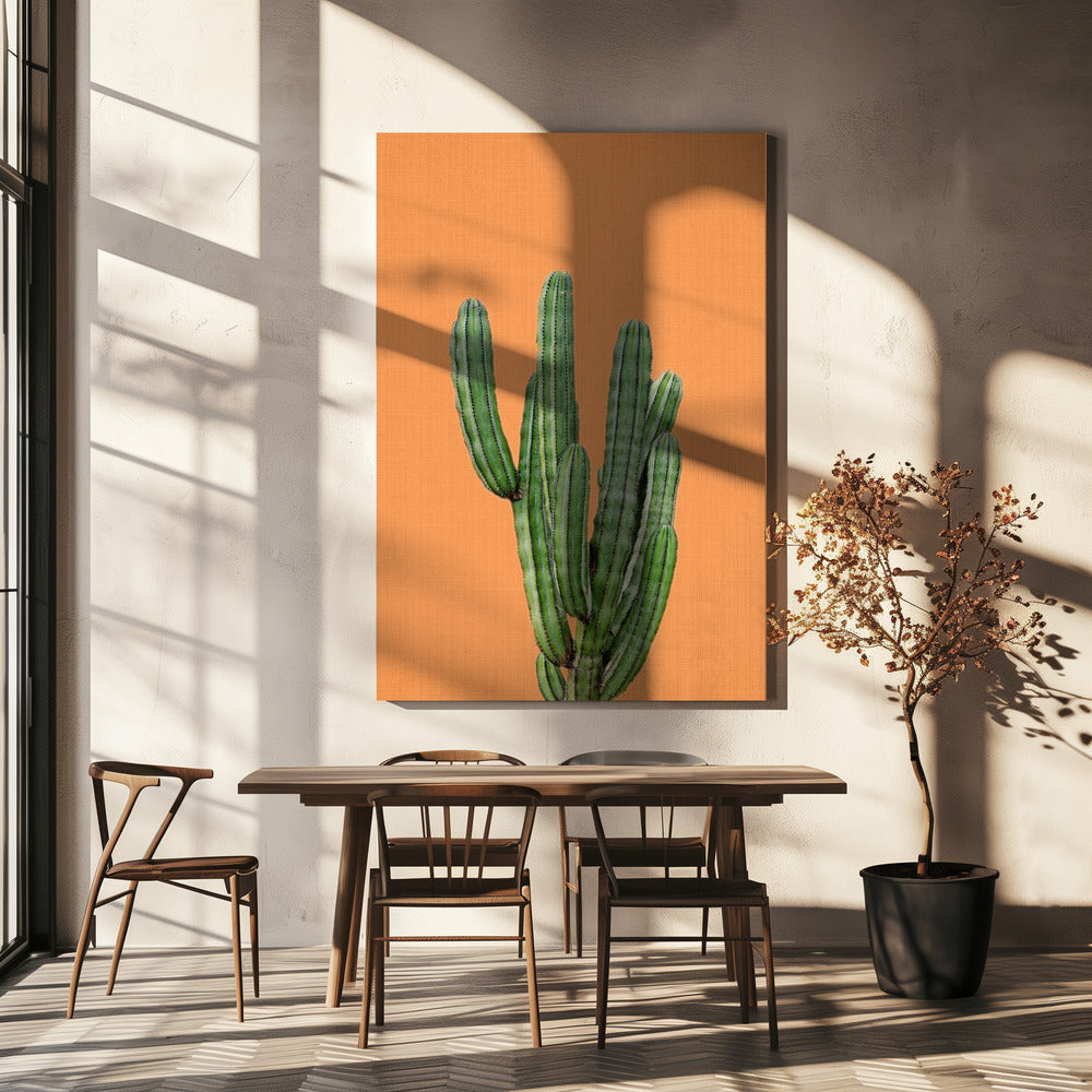 Orange Cactus | Canvas